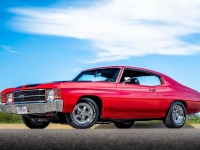 1971 Chevrolet Chevelle for sale (ID-125122)