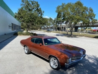 1971 Chevrolet Chevelle for sale in Michigan (ID-125572)