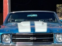 1971 Chevrolet Chevelle for sale in Michigan (ID-125953)