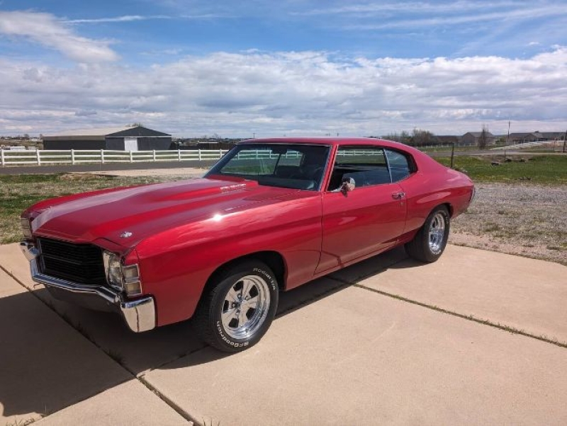 1971 Chevrolet Chevelle for sale in Michigan (ID-128395)
