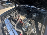 1971 Chevrolet Chevelle for sale in Michigan (ID-130200)