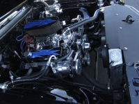 1971 Chevrolet Chevelle for sale in Addison, Illinois (ID-130370)