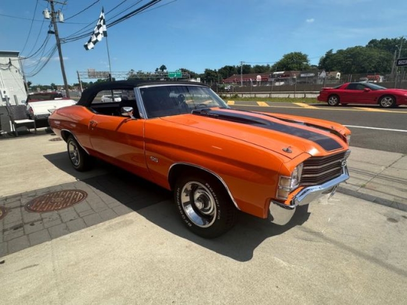 1971 Chevrolet Chevelle for sale in Michigan (ID-131301) 1971 Chevrolet Chevelle for sale in Michigan (ID-131301)