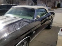 1971 Chevrolet Chevelle for sale in Michigan (ID-142804)
