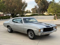 1971 Chevrolet Chevelle for sale in Michigan (ID-144458)