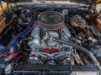 1971 Chevrolet Chevelle for sale (ID-144851)