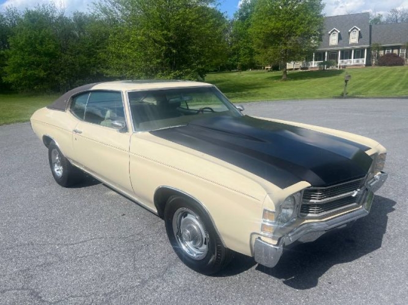 1971 Chevrolet Chevelle for sale in Michigan (ID-146827)