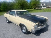 1971 Chevrolet Chevelle for sale in Michigan (ID-146827)