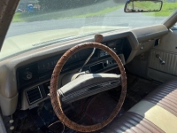 1971 Chevrolet Chevelle for sale in Michigan (ID-146827)