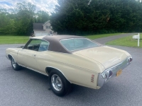 1971 Chevrolet Chevelle for sale in Michigan (ID-146827)