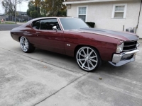 1971 Chevrolet Chevelle for sale in Michigan (ID-154979)