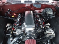 1971 Chevrolet Chevelle for sale in Michigan (ID-154979)