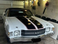 1971 Chevrolet Chevelle for sale in Michigan (ID-161096)