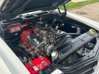 1971 Chevrolet Chevelle for sale in Michigan (ID-161096)