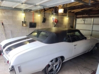 1971 Chevrolet Chevelle for sale in Michigan (ID-161096)