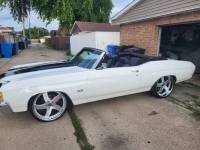 1971 Chevrolet Chevelle for sale in Michigan (ID-161096)