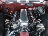 1971 Chevrolet Chevelle for sale in Michigan (ID-163544)