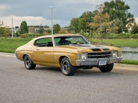 1971 Chevrolet Chevelle SS for sale in Riverhead, New York (ID-121015)