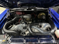 1971 Chevrolet Chevelle SS for sale (ID-163515)