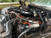 1971 Chevrolet Impala for sale in Michigan (ID-161307)