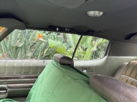 1971 Chevrolet Impala for sale in Michigan (ID-161307)