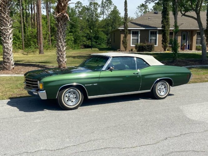 1971 Chevrolet Malibu for sale in Michigan (ID-124916)