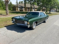 1971 Chevrolet Malibu for sale in Michigan (ID-124916)