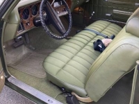1971 Chevrolet Monte Carlo for sale in Michigan (ID-122743)
