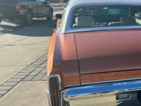 1971 Chevrolet Monte Carlo for sale in Michigan (ID-124194)