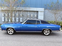 1971 Chevrolet Monte Carlo for sale in Michigan (ID-135601)