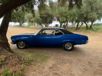1971 Chevrolet Nova for sale in Michigan (ID-123732)