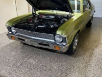 1971 Chevrolet Nova for sale in Michigan (ID-131441)