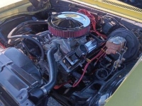 1971 Chevrolet Nova for sale in Michigan (ID-143301)