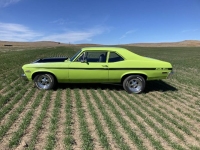 1971 Chevrolet Nova for sale in Michigan (ID-163426)