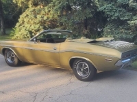 1971 Dodge Challenger for sale in Michigan (ID-142418)