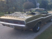 1971 Dodge Challenger for sale in Michigan (ID-142418)