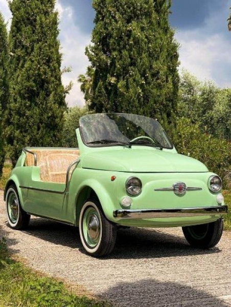 1971 Fiat 500 for sale in Michigan (ID-123911)