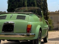 1971 Fiat 500 for sale in Michigan (ID-123911)