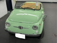 1971 Fiat 500 for sale in Michigan (ID-123911)