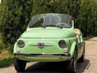 1971 Fiat 500 for sale in Michigan (ID-123911)