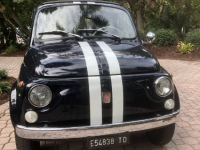 1971 Fiat 500 for sale in Michigan (ID-124794)