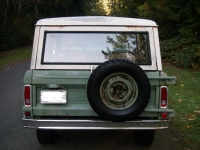 1971 Ford Bronco for sale in Michigan (ID-124029)