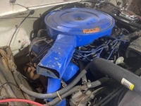 1971 Ford Custom for sale in Michigan (ID-113481)