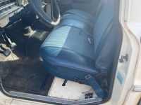 1971 Ford Custom for sale in Michigan (ID-113481)