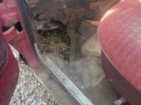 1971 Ford F250 for sale in Michigan (ID-145067)