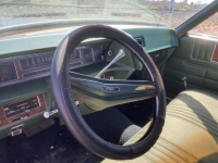 1971 Ford Galaxie 500 for sale in Michigan (ID-123996)