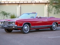 1971 Ford LTD for sale in Michigan (ID-164283)