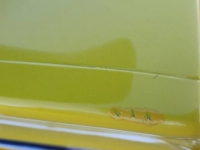 1971 Ford Mustang for sale in Michigan (ID-108043)