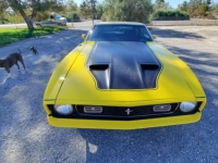 1971 Ford Mustang for sale in Michigan (ID-108043)
