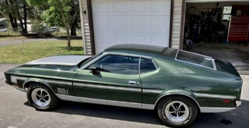 1971 Ford Mustang for sale in Michigan (ID-111509)